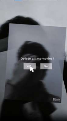 Delete All Memories CapCut Template